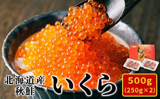 【2024年新物】北海道産いくら 500g（250g×2パック）小分け