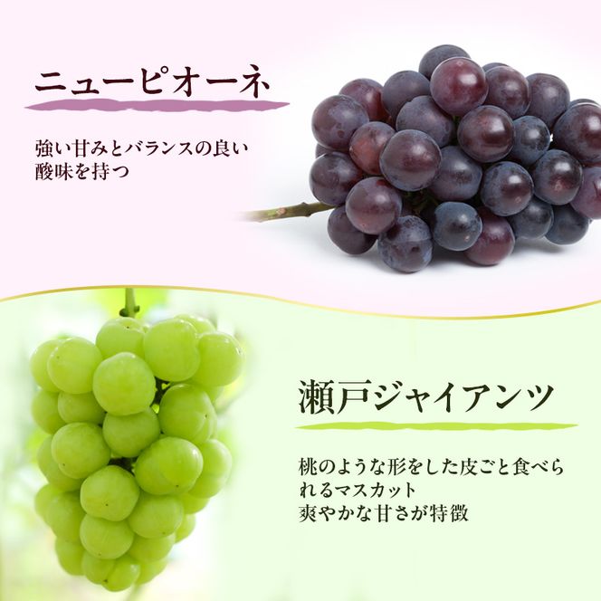 フルーツ 定期便 2026年 先行予約 フルーツ王国 岡山の果物 5回コース 夏～冬物語  桃 もも 葡萄 ぶどう 梨 なし岡山県産 国産 果物 セット ギフト シャインマスカット あたご梨 