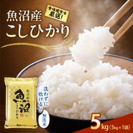 【令和8年産 先行予約】《無洗米》食味鑑定士厳選！魚沼産こしひかり 5kg×1 白米 安心 安全 こだわり 米 コシヒカリ 新潟県 十日町市