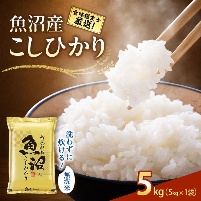 【令和8年産 先行予約】《無洗米》食味鑑定士厳選！魚沼産こしひかり 5kg×1 白米 安心 安全 こだわり 米 コシヒカリ 新潟県 十日町市