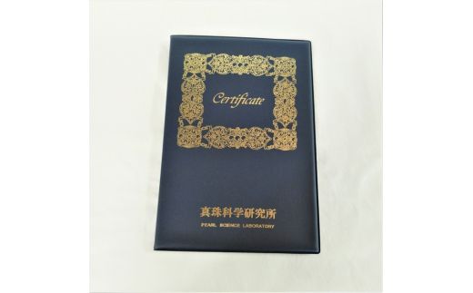 500-15伊勢志摩あこや本真珠イヤリング9mm花珠(真珠科学研究所鑑別書)