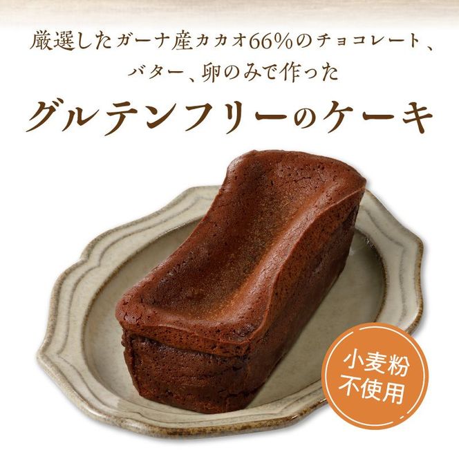 生ガトーショコラ470g冷凍 N0153-YZA149