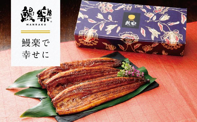 【先行予約】 うなぎ蒲焼3尾セット（200g×3尾）合計600g　たれ・山椒付き  鰻 うなぎ ウナギ 国産 冷凍 うな重 蒲焼 丑の日 鰻楽 熊本県 八代市 【2026年10月中旬より順次発送】