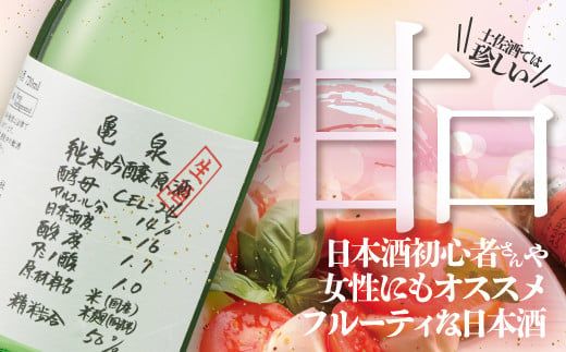 純米吟醸原酒 CEL-24 720ml （生酒） 2本セット お酒 酒 さけ 日本酒 純米吟醸 原酒 アルコール 度数 14度 地酒 亀泉 cel24 セル24 純米吟醸生原酒【株式会社とさもん】 [BQAE066]