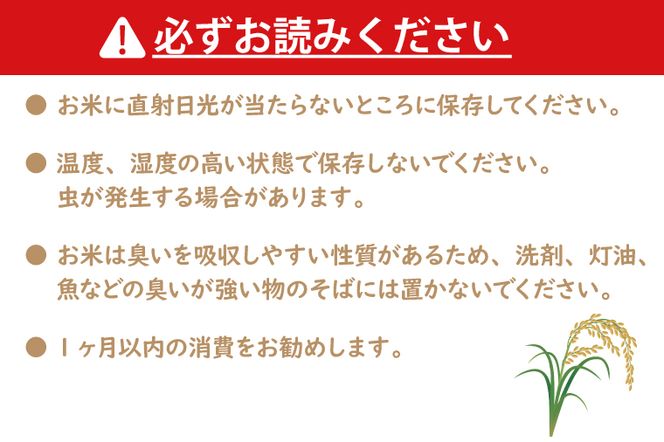 令和7年産 茨城 コシヒカリ 10kg (5kg×２袋) 米 お米 おこめ 白米 ライス ご飯 精米 こしひかり 国産 茨城県産