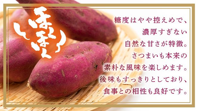 ＼選べる発送方法／ 紅あずま 約 2.5kg （茨城県共通返礼品 [さつまいも]：行方市産） 単品（1回）・定期便（3回 / 6回） さつまいも サツマイモ べにあずま 芋 いも 野菜 根菜  茨城県産 お取り寄せ 野菜 根菜 いも