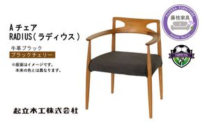 【先行予約：2027年2月より順次発送】 ダイニング チェア RADIUS 起立木工 Aチェア ブラックチェリー 肘付き 椅子 革 ブラック 天然無垢 藤枝家具 リビング 日用品 木材 木工 おしゃれ 家具 雑貨 インテリア 椅子 イス 静岡県 藤枝市