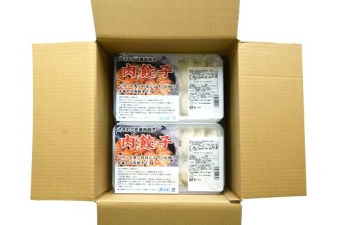 ゆきむら壱番亭の肉餃子3パック(48個入り)　※離島への配送不可