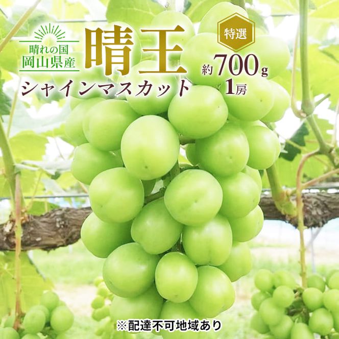 ぶどう 2026年 先行予約 シャイン マスカット 晴王 特選 1房 約700g 大粒 種無し ブドウ 葡萄 岡山県産 国産 フルーツ 果物 ギフト 橋田商店