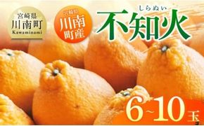 宮崎県川南町産「不知火（しらぬい）」６～１０玉 【 先行予約 季節限定 果物 くだもの フルーツ しらぬい 不知火 みかん 】 [C06705]