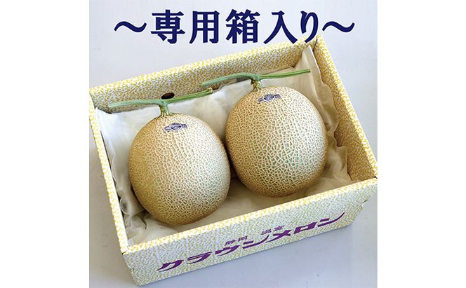 【12ヶ月定期便】クラウンメロン　規格外特大玉（約1.7kg）2玉入 果物類 メロン青肉 