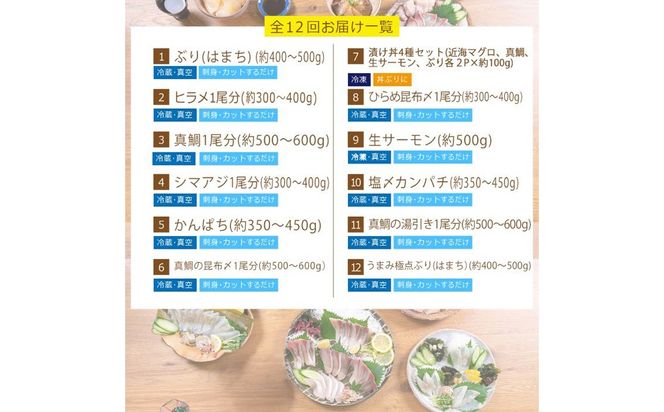 【北海道・離島配送不可】＜定期便・全12回(連続)＞旬の鮮魚(12ヶ月コース)お刺身 お刺し身 魚介 海鮮 漬け丼 ブリ ぶり ヒラメ 真鯛 シマアジ カンパチ マグロ まぐろ サーモン ヒラメ ハマチ お楽しみ コンシェルジュ【UZ-09】【請関水産】