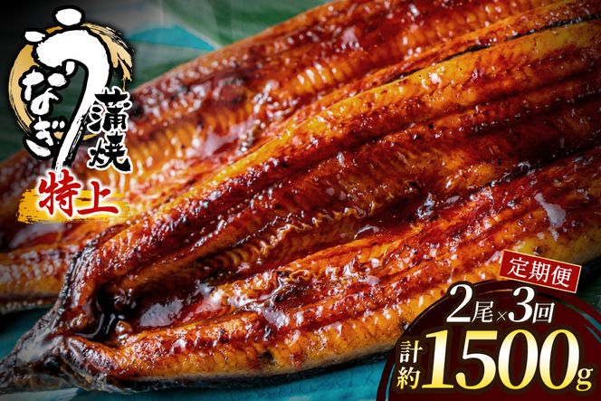 【3回定期便】うなぎ蒲焼き500g以上(250g以上×2尾)【魚住商店】_HB0223 うなぎ 鰻 蒲焼 真空パック 福岡県宗像市 宗像市 福岡 宗像