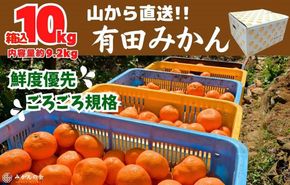 みかん 山から直送 箱込 10kg ( 内容量約 9.2kg ) 鮮度優先ごろごろ規格 和歌山県産 産地直送 家庭用【みかんの会】 AX217