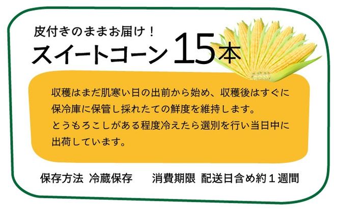 【先行予約2025年12月-2026年4月】 1番遅くて1番早い！？  朝採れプレミアムスイートコーンを皮付きのまま15本お届け！！