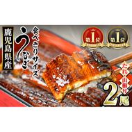【0074336a】＜食べきりサイズ！＞東串良町のうなぎ蒲焼(無頭)(計2尾・計約200g・タレ、山椒付) うなぎ 蒲焼長焼 ウナギ 鰻 蒲焼き 国産うなぎ 国産 九州産 鹿児島 鹿児島県産 人気 ランキング 高級 家庭用 おすすめ たれ さんしょう 【アクアおおすみ】