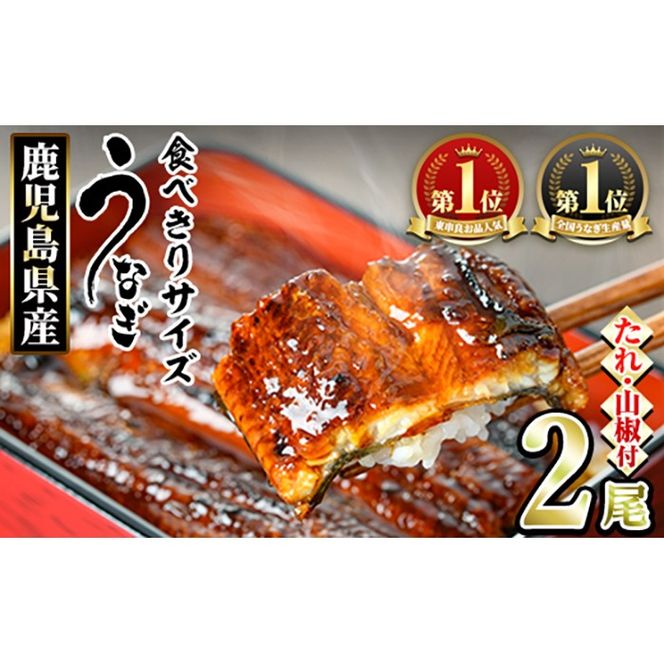 y̑Sǒzy0074336azHׂTCYIǒ̂Ȃ()(v2Ev200gE^ARt) Ȃ Ē EiM V Ă YȂ Y BY  Y lC LO  ƒp   񂵂傤 yANA