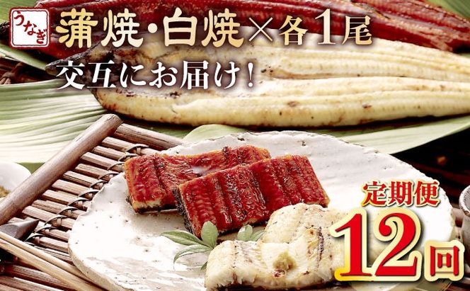 蒲焼き・白焼きを交互にお届け！国産うなぎ１尾【全１２回定期便】 _ うなぎ 鰻 ウナギ 1尾 国産 高知県産 蒲焼き 白焼き かばやき 冷凍 うな重 ひつまぶし タレ ランキング 人気 12回 定期便 [yj057]