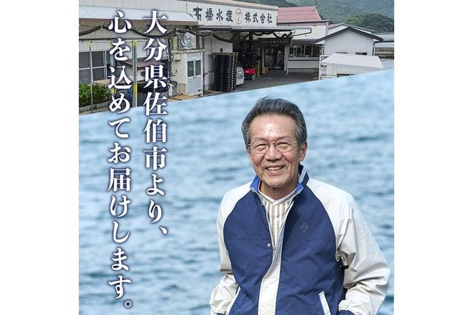 赤しそ寿司 (4-5貫入り×4セット) 鯵 あじ しそ 寿司 すし 名物 お土産 冷凍 惣菜 おつまみ 手作り 冷凍寿司 大分県 佐伯市【DH231】【(株)ネクサ】