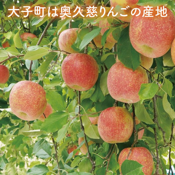 斉藤りんご園の奥久慈りんごジュース（ストレート）1000ml×3本セット