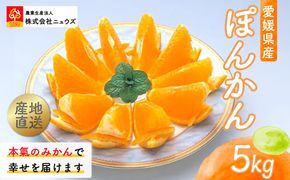 【先行予約】産地直送！愛媛県産ぽんかん 5kg（2027年1月上旬より順次発送） IKTF016