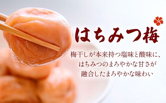 【数量限定！3～7営業日出荷】紀州 南高梅 梅干し はちみつ しそ漬け 送料無料 メール便 ご家庭用 無選別 《3-7日以内に発送予定(土日祝日除く)》和歌山県 日高川町 しそ梅 はちみつ梅---iwfn_wlocal1_wkd_25_2500_220g---