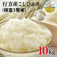★令和7年度産★行方産こしひかり 10kg(検査1等米)｜米 お米 コシヒカリ こしひかり 令和7年産 R7年産 茨城県 行方市(CU-31-2)
