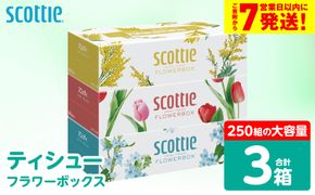 ＼スピード発送／【スコッティ】 ティシュー フラワーボックス 250組 3箱 ティッシュ 日用品 生活必需品 防災備蓄 ストック 備蓄 新生活 防災 消耗品 生活用品 日用消耗品 箱ティッシュ スピード発送 【7営業日以内に発送】