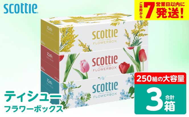 ＼スピード発送／【スコッティ】 ティシュー フラワーボックス 250組 3箱 ティッシュ 日用品 生活必需品 防災備蓄 ストック 備蓄 新生活 防災 消耗品 生活用品 日用消耗品 箱ティッシュ スピード発送 【7営業日以内に発送】