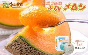 【2026年夏発送】北海道 富良野産 赤肉メロン 1玉 1.6kg以上 大玉サイズ メロン フルーツ 果物 