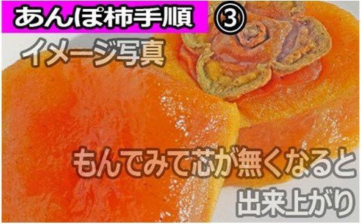 甘さが違う！とっても甘くなる生渋柿（平たねなし柿）あんぽ柿用 T軸枝無  約4.5～5kg　約24～30個＜2026年10月中旬～11月上旬ごろ順次発送＞-AP【art003B】