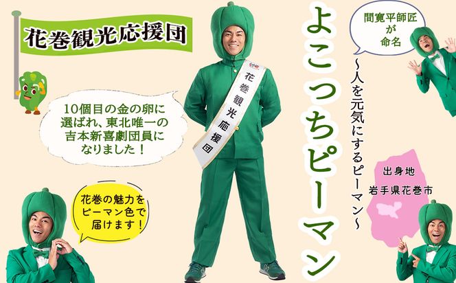 令和7年産花巻産銀河のしずく 10kg 【2370】