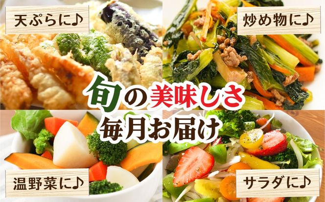 【12回定期便】豪華！野菜 セット 15品目以上 12回 定期便 / 野菜 フルーツ きのこ 詰め合わせ 南島原市 / 吉岡青果 [SCZ019]