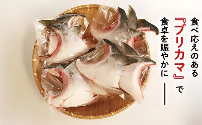 お試し用 ブリカマ 2切れ × 1パック 5000円 冷凍 サイズ 不揃い 試供品 お試し品 少量 ぶりかま ぶりカマ 鰤かま 少額 食べ物 旬 お手軽 魚海鮮 魚介 1万円 以下 父の日 小分け 真空 パック 新鮮 鮮魚 養殖 国産 鰤 ぶり ブリ お取り寄せ ギフト プレゼント おつまみ アテ おかず カマ 塩焼き 煮物 あらだき あら煮 肉 厚 規格外 人気 ハマスイ 愛南町 愛媛県