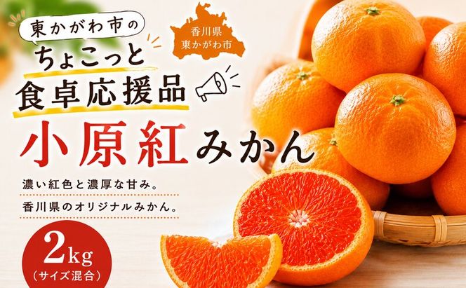 東かがわ市のちょこっと食卓応援品「小原紅みかん 2kg」
