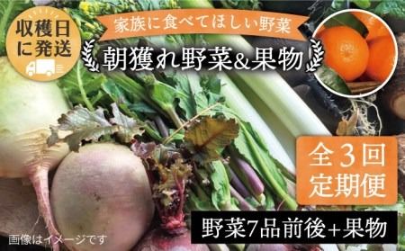 [全3回定期便]こだわり野菜 (7品前後) セット + 果物 [糸島][オーガニックナガミツファーム] [AGE007] 野菜セット 野菜 やさい サラダ 詰め合わせ トマト とまと 野菜野菜セット 野菜やさい 野菜サラダ 野菜詰め合わせ 野菜トマト 野菜とまと 野菜ベビーリーフ 野菜水菜 野菜ハーブ 野菜オクラ 野菜人参 野菜にんじん 野菜ニンジン 野菜ほうれん草 野菜クレソン 野菜かぼちゃ 野菜カボチャ 野菜じゃがいも 野菜玉ねぎ