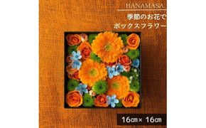 季節のお花でボックスアレンジメント（16cm×16cm）【 神奈川県 小田原市 】 142069_BN035