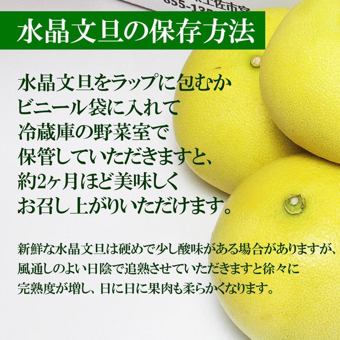 【先行予約】高知県産水晶文旦 特選ご贈答用 中玉6個入り〈2026年10月上旬～11月上旬頃発送〉  / ぶんたん ブンタン 水晶文旦 果物 柑橘 フルーツ お取り寄せ 特産品 おいしい【白木果樹園】 [BQAI019]