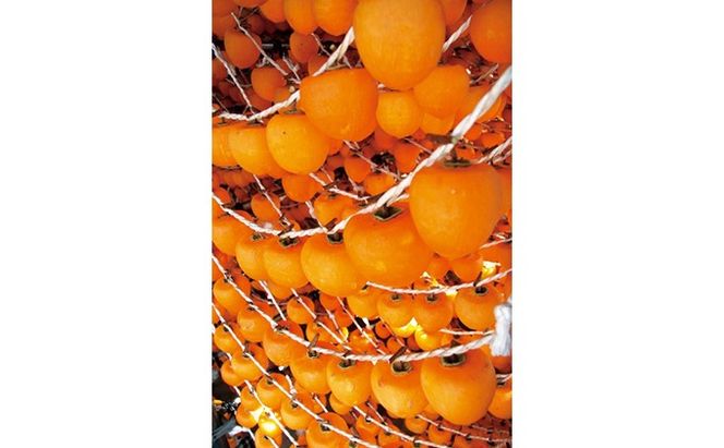 あんぽ柿 蜂屋柿 トレー 230g×8パック◇ ※沖縄・離島への配送不可 ※2025年12月中旬～2026年3月中旬頃に順次発送予定