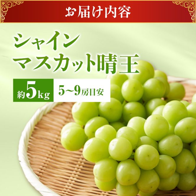 【2026年先行受付】 シャインマスカット 晴王 秀品 大房 約5kg(5～9房) 岡山県産 岡山県産 ぶどう 葡萄 ブドウ ギフト 御礼 プレゼント 御礼 御祝 御供 果物 くだもの フルーツ