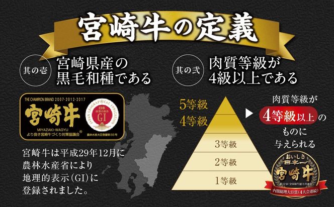畜産農家応援! 宮崎牛サイコロステーキ2種セット500g×2パック_AC-N206