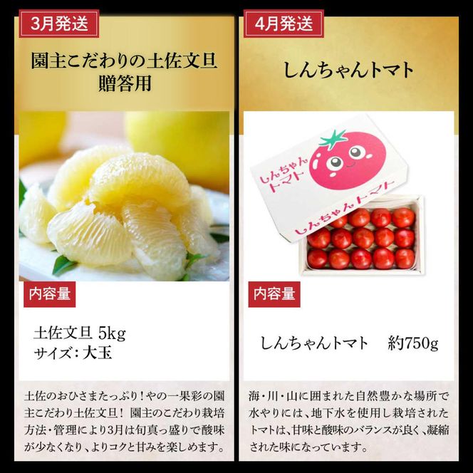 【全12回定期便】土佐市まるごと贅沢定期コース / トイレットペーパー 藁焼き うつぼ 生かつお 鰹 たたき 土佐文旦 メロン しんちゃんトマト ピーマン アイス くずバー ネギトロ かつおめし 日本酒 高知県 土佐市【土佐市】[BQCD015]