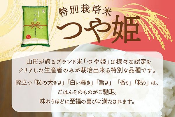 【新米受付】令和8年産 特別栽培米 つや姫 10kg 5kg×2袋 2026年産 ブランド米 米 国産 単一原料米 山形 庄内平野 コシヒカリの原点、亀の尾発祥の地 庄内【R8.10月以降発送開始/入金期限：2026年9月15日】