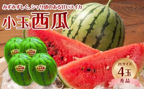 1251.【先行予約】【ＪＡ】小玉西瓜　秀2L×4玉　※着日指定不可　※離島への配送不可　※2026年9月初旬頃～9月下旬頃に順次発送予定 313726_BN023