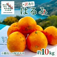 【先行予約】【訳あり】はるみ 約10kg | 柑橘 みかん 果物 フルーツ 愛媛県産 農家直送 　※離島への配送不可　※2027年1月下旬から順次発送予定 IKTAU005
