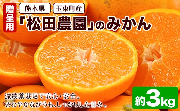 『松田農園』のみかん たっぷり 約3kg(S-2Lサイズ) フルーツ 秋 旬 熊本県 玉名郡 玉東町 松田農園 手間暇かけたこだわりのミカン[日付指定不可][11月上旬-12月下旬頃出荷]---sg_mtdmikan_ak11_24_10000_3kg---