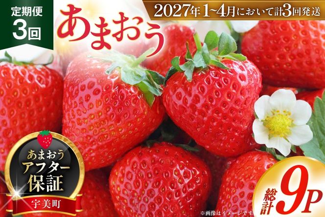 いちご あまおう 福岡 250g以上 3p 3回 総計9p【2027年発送】期間限定発送 [THE FARM_strawberry 福岡県 宇美町 um40azo780004] イチゴ 苺 フルーツ 果物 果実 甘い 小分け 定期 あまい 先行予約