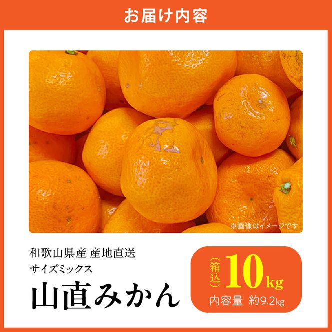 MK1039_【2026年先行予約】みかん 山から直送 箱込 10kg ( 内容量 9.2kg ) 鮮度優先ごろごろ規格 和歌山県産 産地直送 家庭用 【みかんの会】