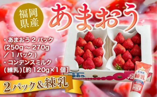 福岡産あまおう２パック＆練乳 先行予約※2024年11月下旬～2025年4月上旬にかけて順次発送予定　AX017