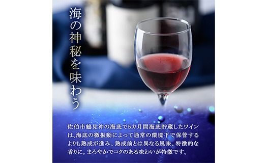 海底貯蔵ワイン 赤 MARIREINE ヴァンプレッショニスト ピュール サン シラー マルスラン 2022(750ml・1本) フランスワイン ワイン 赤ワイン 酒 パーティー 海底酒 熟成 大分県 佐伯市【FP028】【フルタ酒店】